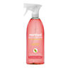 00010ct Method All Purpose Cleaner Bottle Grapefruit Pk