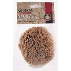 031924-00 Sponges Sea 4in. Medium Purdy 3in.