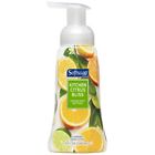 074182292805 Softsoap Kitchen Citrus Bliss Foaming Liquid Hand Soap