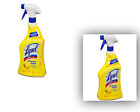 19257 Lysol All Purpose Cleaner 640320919257