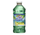 31569 Clorox Fraganzia Island Orchid Cleaner Fl Oz Kitchen Bathroom