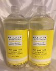 808124620124 Caldrea 2 Bottles Citron Ginger Liquid Dish Washing Soap Refill 32 Oz New