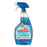 81308 All Purpose Cleaner Apple Pk