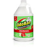 911461-g4 Odoban Concentrate Disinfectant Laundry And Air Freshener Cucumber 696597548157