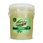Augbsc6mmh Odoban Gal Concentrate Eucalyptus Disinfectant Laundry Air Freshener 0732109470230