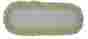 Ca-fmr24-d4g Cleanaide Commercial Microfiber Dry Mop Pad Refill 24 In Green 4 Pack 096481918415