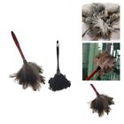 Cs-sack-061 Sackorange Vintage Handle Cleaner Cleaning Ostrich Feather Duster 709327679158