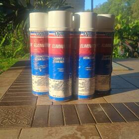 10620 Dymon Eliminator Carpet Spot And Stain Remover 6 - Pack