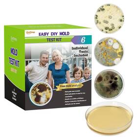 Entimp 313054623621 Mold Test Kit For Home Within 6 Individual Tests Diy Detector At Surface Mo