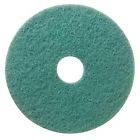 Ren02029 Green 741224020299 Cleaners " Scrubbing Renown Pad Floor 16