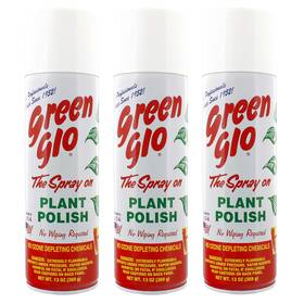Green Glo 603803623454 V-lxrong Green-glo Plant Polish 13 Oz Pack Of 3