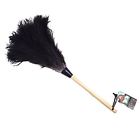 Hfd20 Wool Shop Ostrich Feather 885388706870