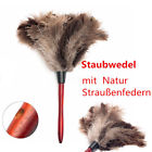 Hij302189 Ostrich Feather Brush Duster Dust Cleaning Tool Wood 6926646078668
