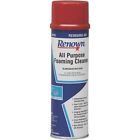 880265 Janitorial Oz. Renown Cleaners 19 Cleaner Aerosol Foam Purpose -