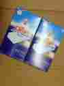 820277 Magic Eraser Mr Clean Two Boxes Original 8 Pack Made In Germany 037000