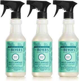 343759 Meel7 Mrs. Meyers Clean Day All-purpose Cleaner Spray Limited Edition Mint 16 Fl. O