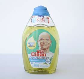 Mr. Clean 037000888635 Liquid Gel Concentrate Multi Purpose Cleaner Meadows Rain 16 Fl Oz