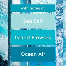 375642 No 1 Holder And Refill Waves Fragrance Infused With Essential Oils