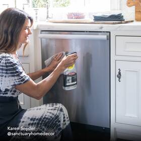 Products Llc 313027259260 Household Stainless Steel Cleaner And Polish Trigger Spray 12 Fl Oz Kitchen Appli
