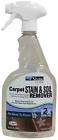R2x Shaw Carpet Stain Soil Remover Ounces Spray 609052930329