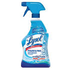 85668 Rec Lysol 22oz Cool Spring Breeze