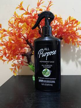 Rejoice 849607071583 Plant Based All Purpose Cleaner - Peppermint Sage 16fl. Oz. Spray