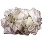 Ren06306-hp Knit White 10 Pound Rag Cloths Cloth Wiping Special Renown