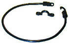 Rt-18-dp Rt18dp Marine Rod Tamer Hold Down Strap 733572003826