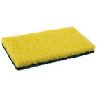 S740-c Royal Scouring Combo Case Of 072288107887