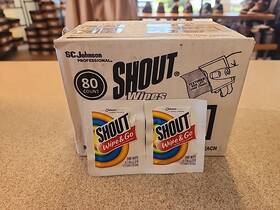 362742 Shout 80 Count Travel Size Surface Cleaning Wipes Stain Treatment Towelettes