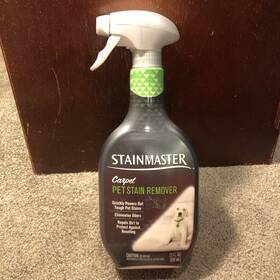 P-22578 Stainmaster P-22578/01 Carpet Pet Stain Remover Cleaner Eliminates Odors 22oz