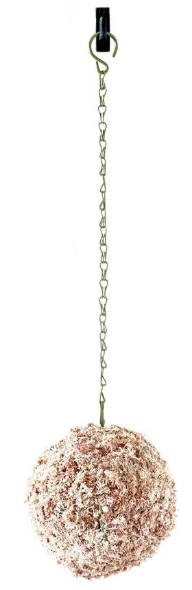 Supermoss 759834223719 22371 Sphagnum Moss Living Wreath 7 Inch - Sphere Natural