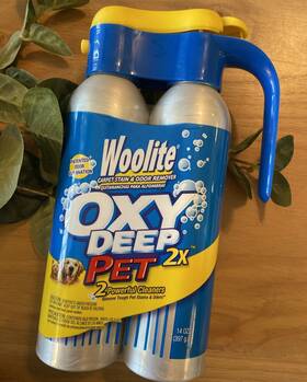 Woolite 011120003987 Oxy Deep 2x Pet 2 Powerful Cleaners Removes Tough Ped Stains And Odor