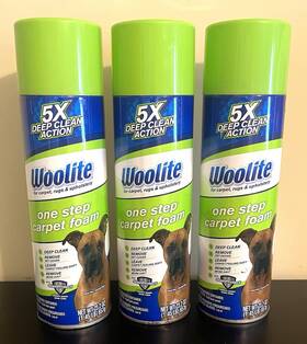 Woolite 011120004113 Lot Of 3 One Step Carpet Foam 5x Deep Clean Action - 23.2oz Ea