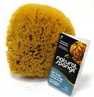 Y6070c The Natural Sea Sponge To Yellow 798837405791