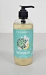 Caldrea Hand Soap, Pear Blossom Agave, 10.8 Oz Discontinued. Fixed Price $12.99.