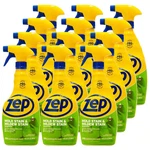32 Oz. Mold And Mildew Stain Remover (case Of 12). Fixed Price $38.07.