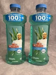 Mr. 2X Concentrated Multi-surface Cleaner With Gain Original Scent. Fixed Price $19.95.