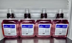 Brighton Foaming Hand Soap Dispenser Fruity Scent 1250ML BPR59206 *4 Refills. Fixed Price $37.49.