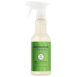 Mrs Meyers Multi-surface Everyday Cleaner Fresh Cut Grass Scent 16OZ. Fixed Price $23.99.