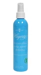 Hagerty Silversmiths Pump Spray Polish. Fixed Price $34.95.