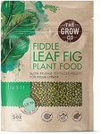Fiddle Leaf Fig Tree Plant Food - Slow Release Fertilizer Pellets For Potted.... Fixed Price $16.99.