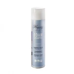 Foam Shampoo: Carpet And Fabric Cleaner, Hagerty. Fixed Price $15.99.
