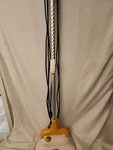 Haan Floor Sanitizer FS20 Tested In Works. Fixed Price $35.00.