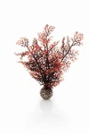 Biorb Sea Fan Crimson Small,. Fixed Price $31.99.