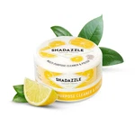 Shadazzle Natural All Purpose Cleaner And Polish 10.58 Ounce (pack Of 1). Fixed Price $23.23.