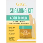 Gigi Wax Kit Sugar Bare 10 Oz Gentle Formula, Face And Body. Fixed Price $13.92.