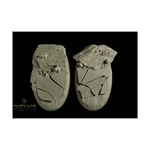 Alien Lab Northern Land Mini 75MM (oval Bases) Pack New. Fixed Price $5.39.