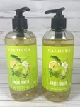 Caldrea Ginger Pomelo Liquid Hand Soap Scent No. 15 Discontinued (2PACK). Fixed Price $37.99.