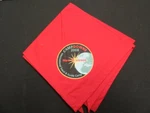 Camp Downe 2008 International Scout & Guide Scarf Neckerchief FX2. Fixed Price $8.95.